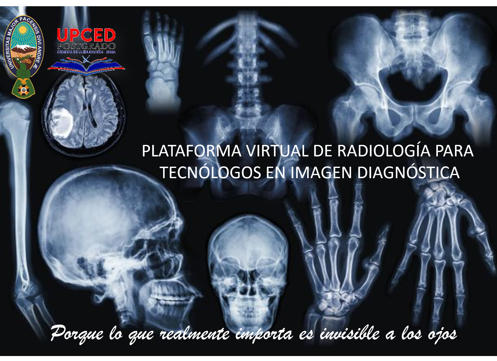Portada de plataforma virtual